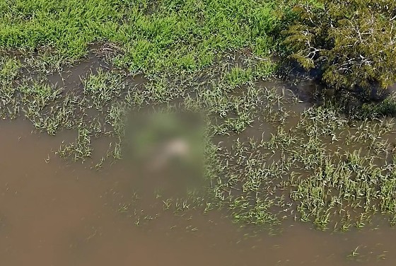 Corpo encontrado em brejo