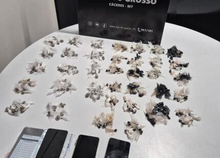 Operação Linha Cortada 