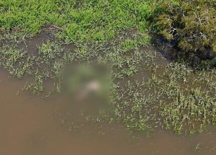 Corpo encontrado em brejo