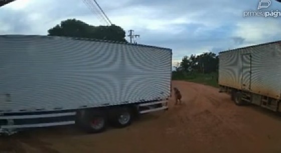 SENHORA ATROPELADA POR CAMINHÃO