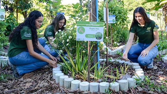 PROJETO HORTO MEDICINAL