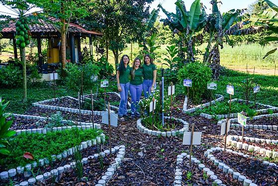 PROJETO HORTO MEDICINAL