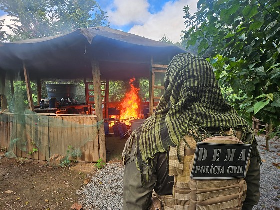Destrui&ccedil;&atilde;o de propriedades ilegais