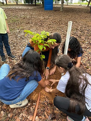 Concurso em Sorriso mobiliza estudantes para produção de videocasts sobre agricultura regenerativa
