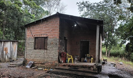 homem preso por abuso em cachorro.jpeg