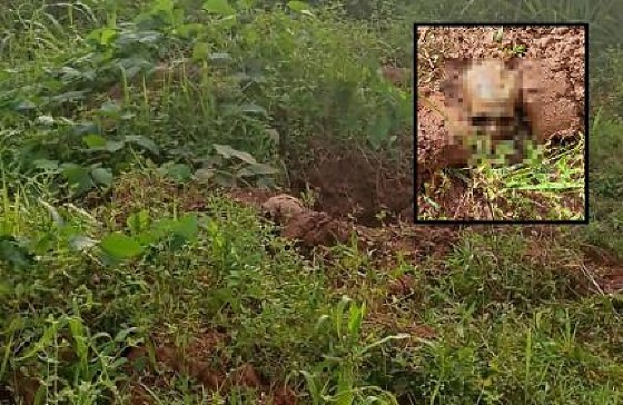 Ossos humano são encontrados enterrados atrás de uma creche