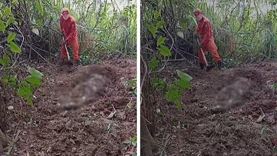 VÍDEO: Corpo decapitado encontrado em Rondonópolis é achado por pescador