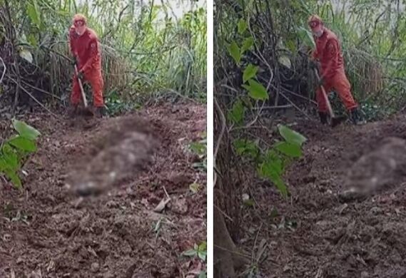 VÍDEO: Corpo decapitado encontrado em Rondonópolis é achado por pescador