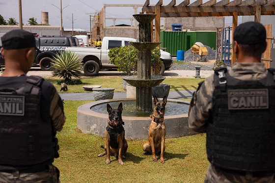 WhatsApp Image 2026-04-16 at 08.42.57.jpeg