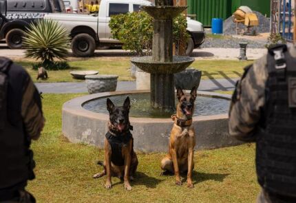 WhatsApp Image 2026-04-16 at 08.42.57.jpeg