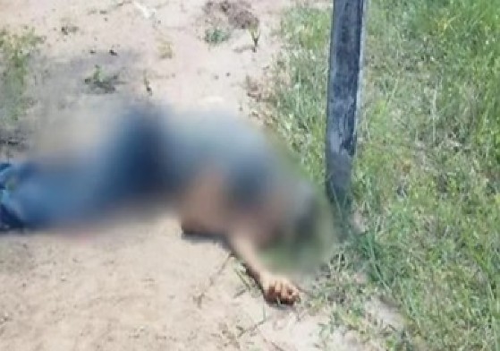 exvereador morte bolivia