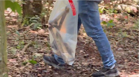 Ossada encontrada em Lucas 