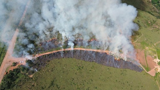 queimada controlada.jpeg