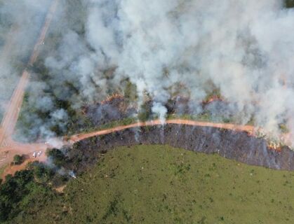 queimada controlada.jpeg