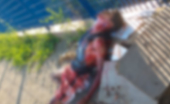 Homem encontrado morto a facadas em VG