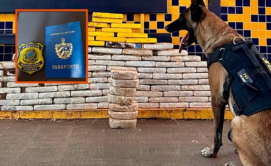 PRF apreende 136 kg de drogas