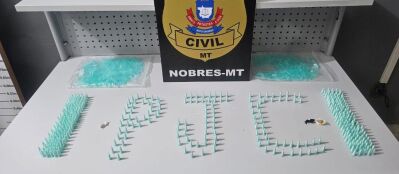 apreensão 380 pinos.jpeg