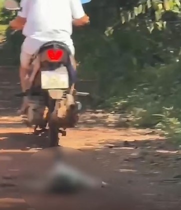 VÍDEO: Motociclista arrasta gato amarrado com corda próximo ao aeroporto