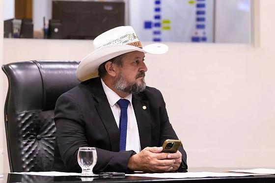 O deputado estadual Gilberto Cattani (PL).