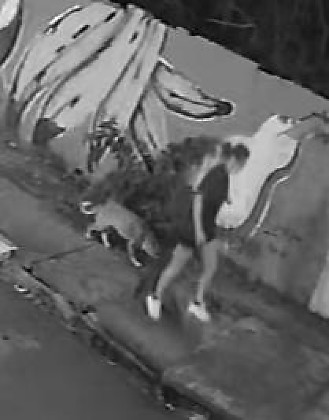VÍDEO: Tampa de bueiro cede e jovem em bueiro no bairro Quilombo