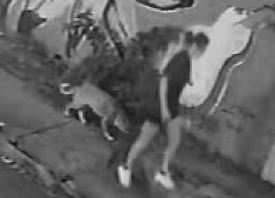 VÍDEO: Tampa de bueiro cede e jovem em bueiro no bairro Quilombo