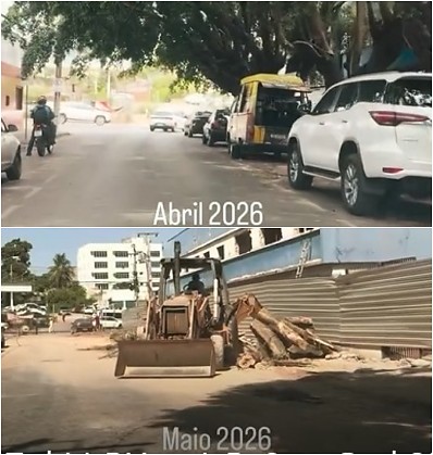 Depois de desmatamento da Rua Baltazar, Prefeitura volta atrás e vai repor árvores