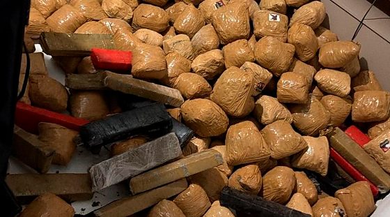 Polícia Civil apreende mais de 150 km de Maconha 