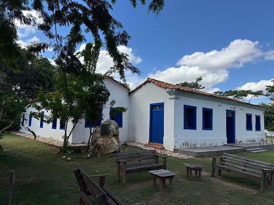 MUSEU DE HISTÓRIA NATURAL DE MT.jpeg