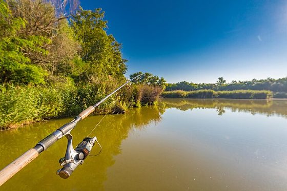 vara-de-pesca-em-aguas-calmas-do-lago-dentro-de-arvores-da-floresta-outono-ao-ar-livre-recreativo-atividade-de-hobby_663265-2889.jpg