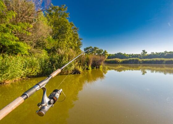 vara-de-pesca-em-aguas-calmas-do-lago-dentro-de-arvores-da-floresta-outono-ao-ar-livre-recreativo-atividade-de-hobby_663265-2889.jpg