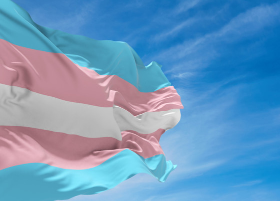 bandeira trans