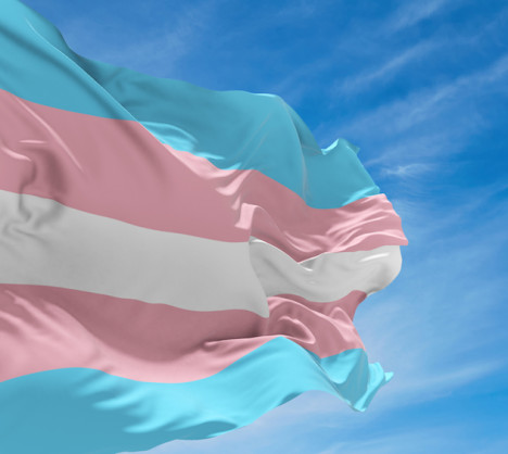 bandeira trans
