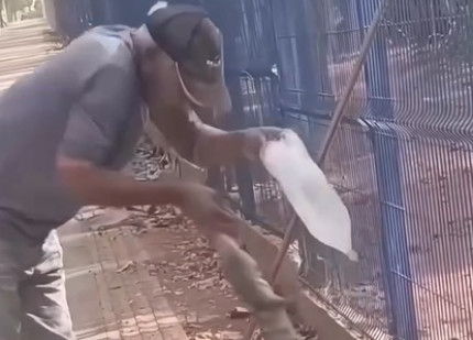 Homem tenta dar água a lagarto e tem dedo arrancado por animal