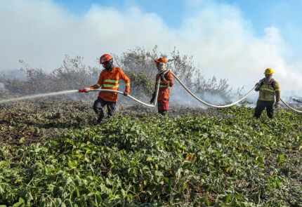 Combate à incêndios no Pantanal-111.jpg