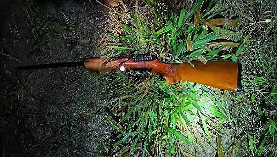 Adolescente tiro na cabeça
