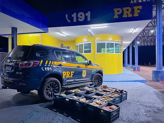 PRf apreensão drogas