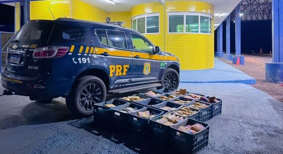 PRf apreensão drogas 