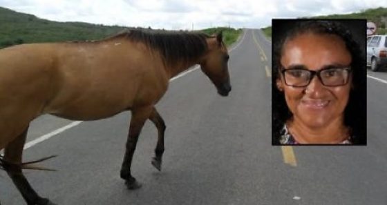 Mulher morre após moto bater em cavalo em rodovia federal