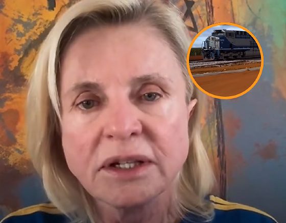 A suplente ao Senado, Margareth Buzetti (PP).