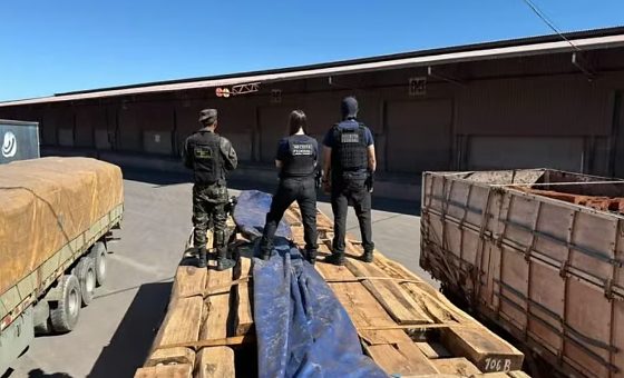 Operação Timber Shield