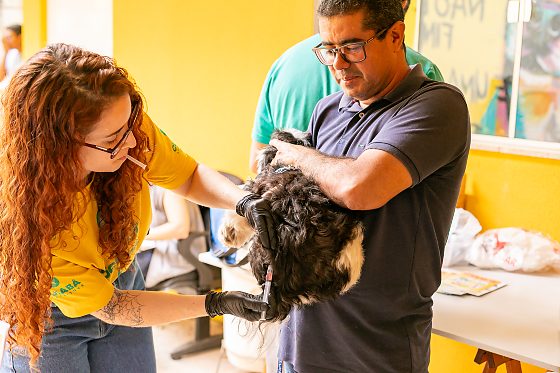 Mais de 650 vacinas foram aplicadas em ação da Bem-Estar Animal