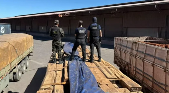 Operação Timber Shield