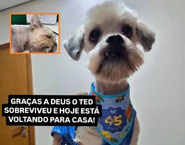 https://cdn.hnt.com.br/storage/webdisco/2026/06/26/370x278/4dcd3c9b3342c19e379f6df0a023b1d2-hnt-com-br.jpg