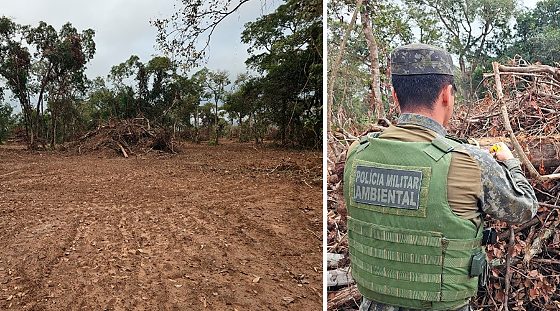 Proprietário multado do desmatamento ilegal