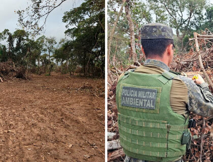 Proprietário multado do desmatamento ilegal