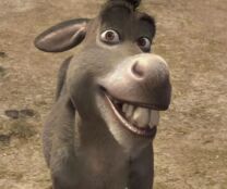 Burro de 'Shrek' 