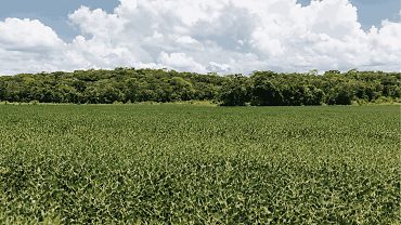 https://cdn.hnt.com.br/storage/webdisco/2026/06/27/370x278/10832c9540a6ff9fc8229589ec1eed49-hnt-com-br.png