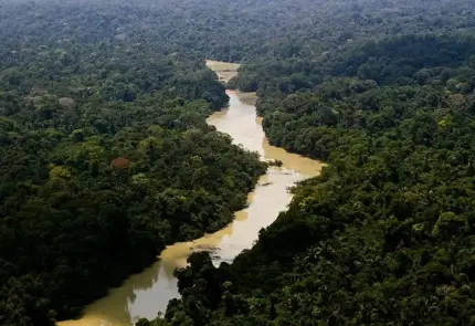 reserva_florestal_jamanxim