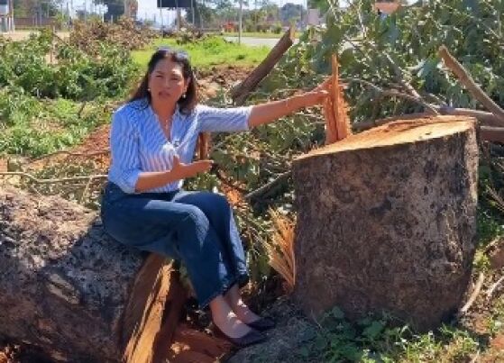 A vereadora por Cuiabá, Dra. Mara (Podemos), presidente da Comissão de Meio Ambiente da Câmara. 