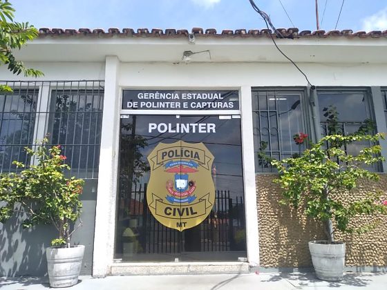 Polinter porta.jpg